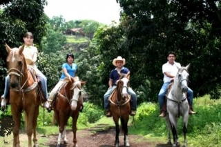 Nuestros visitantes